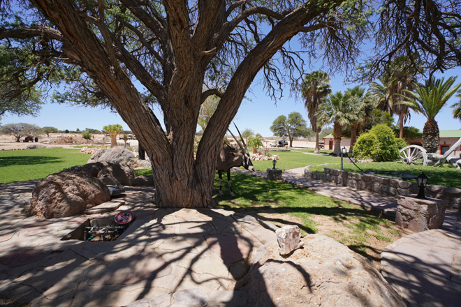 Animals in garden at Canyon Lodge Fish River Canyon Namibia