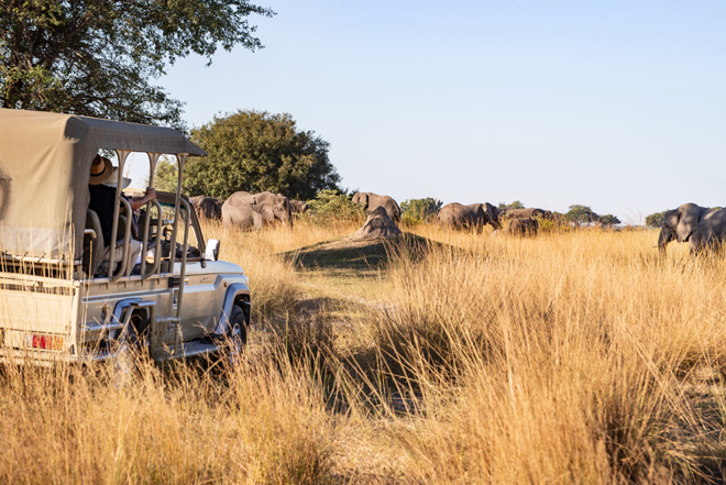 Game drive at Namushasha River Lodge Caprivi Namibia