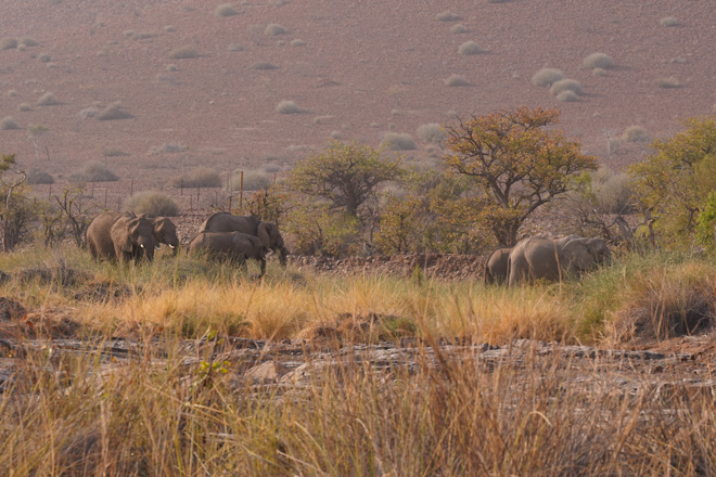 Things to do at Palmwag Camping Damaraland Namibia